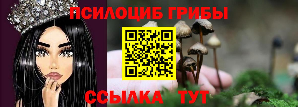 Ржев  Псилоцибиновые грибы GOLDEN TEACHER  Вход с VPN  Псилоцибиновые грибы Magic Shrooms 